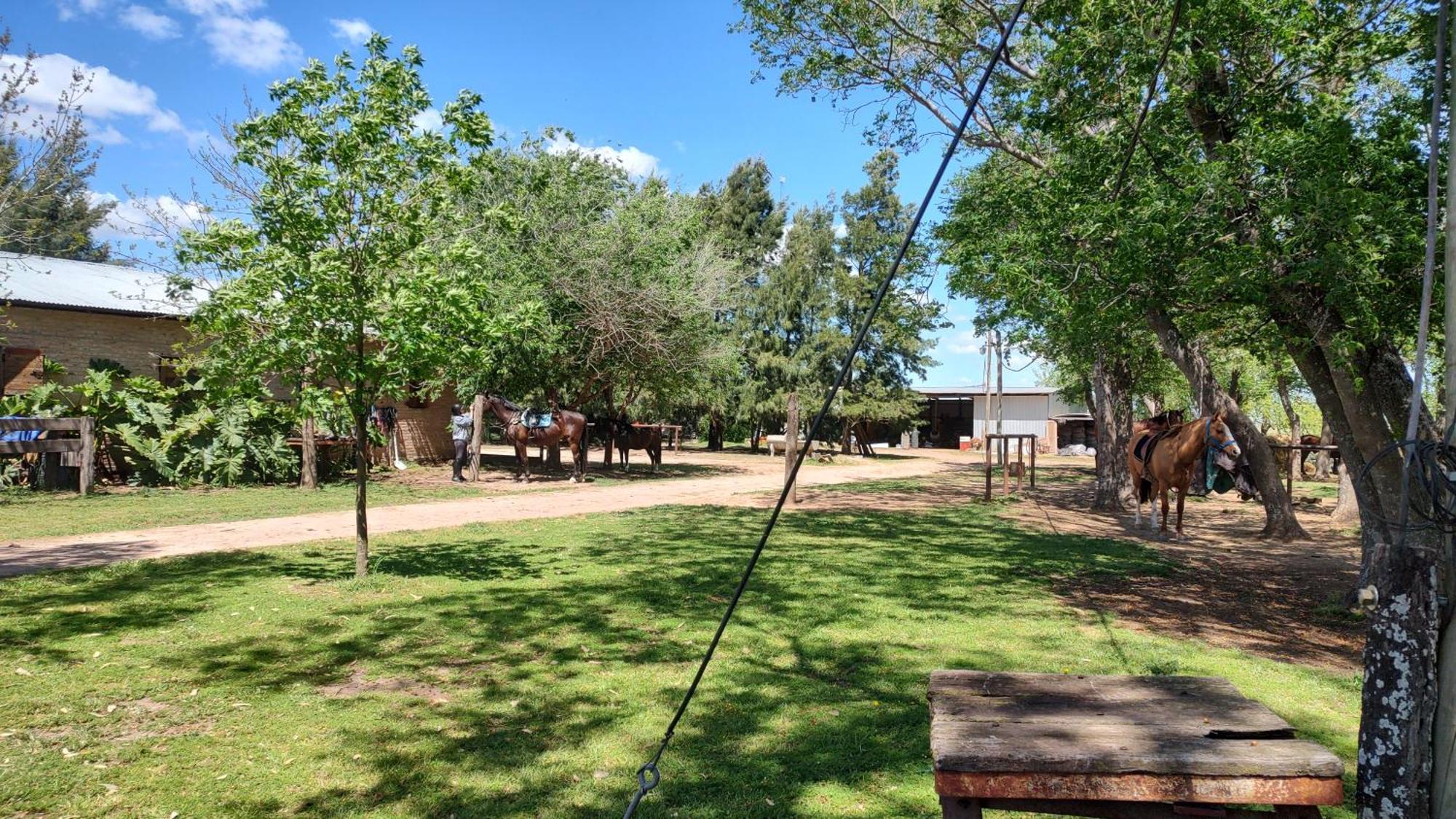 Cabana Rural El Encuentro San Antonio de Areco Ruang foto
