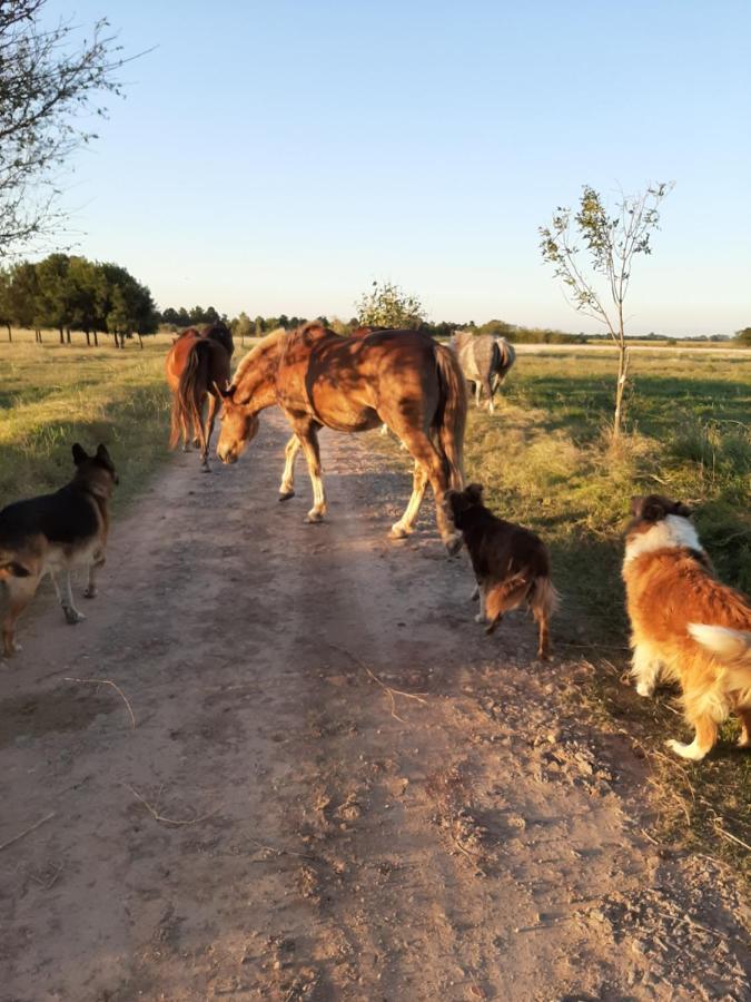 Cabana Rural El Encuentro San Antonio de Areco Bagian luar foto
